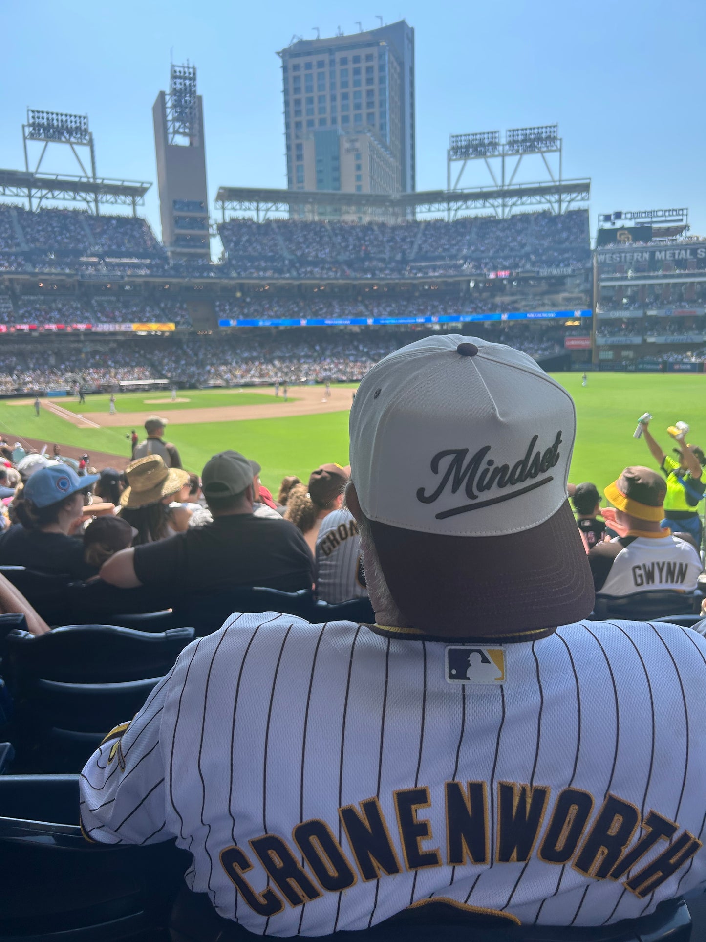 The Everyday Mindset SnapBack Hat